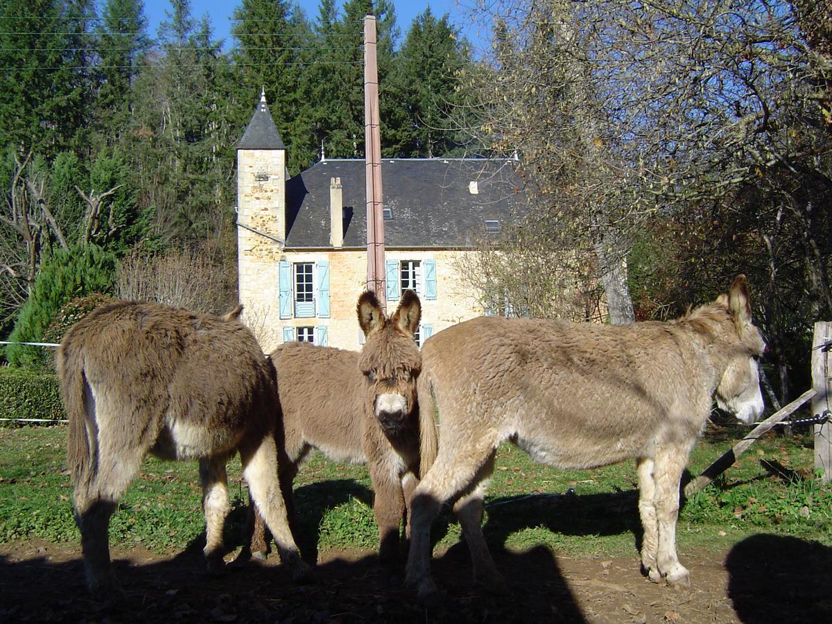 Bed and Breakfast Le Moulin De Planiol Le Vigan  Exterior foto